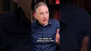 Only humans can cry or blush? #briangreene #psychology #stevenpinker