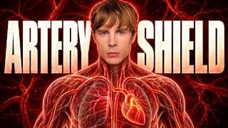 The Hidden Artery Shield That Prevents Heart Attacks