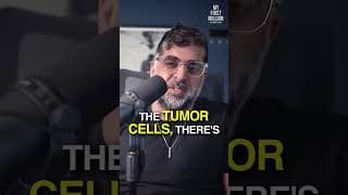 He Used ChatGPT to Cure His Dog's Cancer