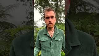 Try making better music