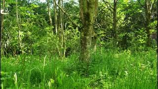 Let's Create a Website for GSD