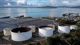 Northwestern's Schutte Says Investors Should 'Own Some Commodities'